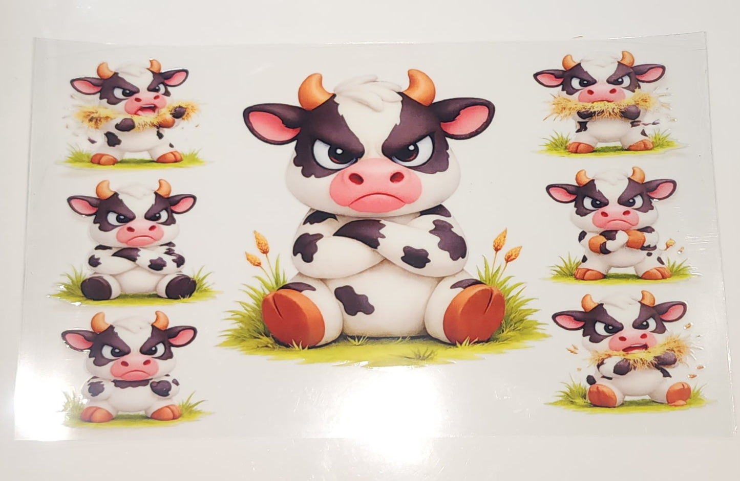 Mad cow 16oz wrap